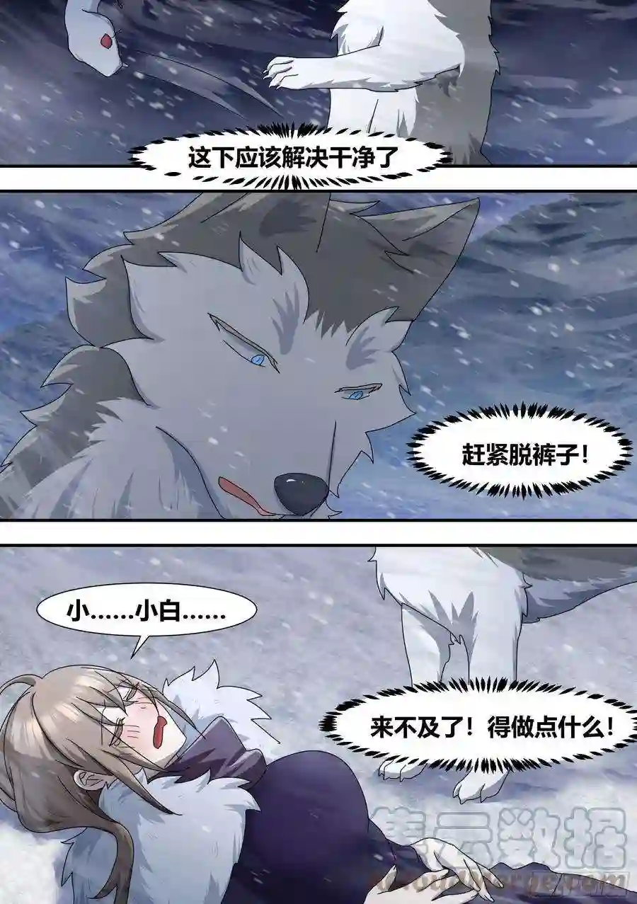 直播：女神家的哈士奇天秀275-有蛇