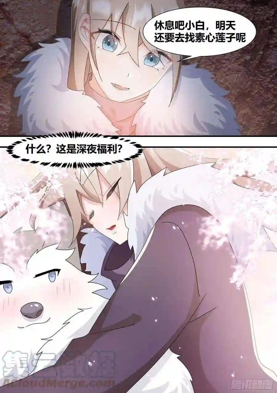 直播：女神家的哈士奇天秀275-有蛇