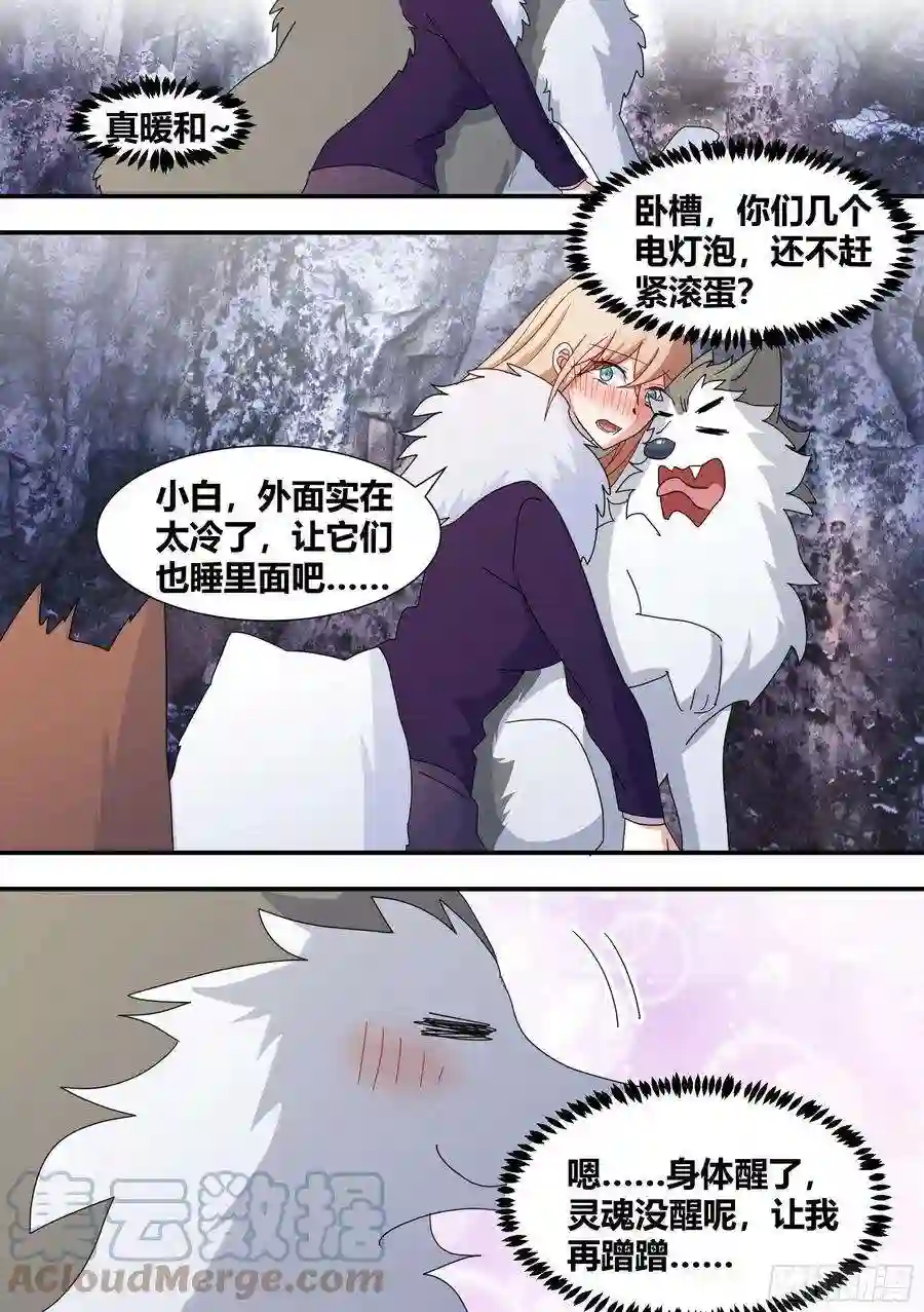 直播：女神家的哈士奇天秀275-有蛇