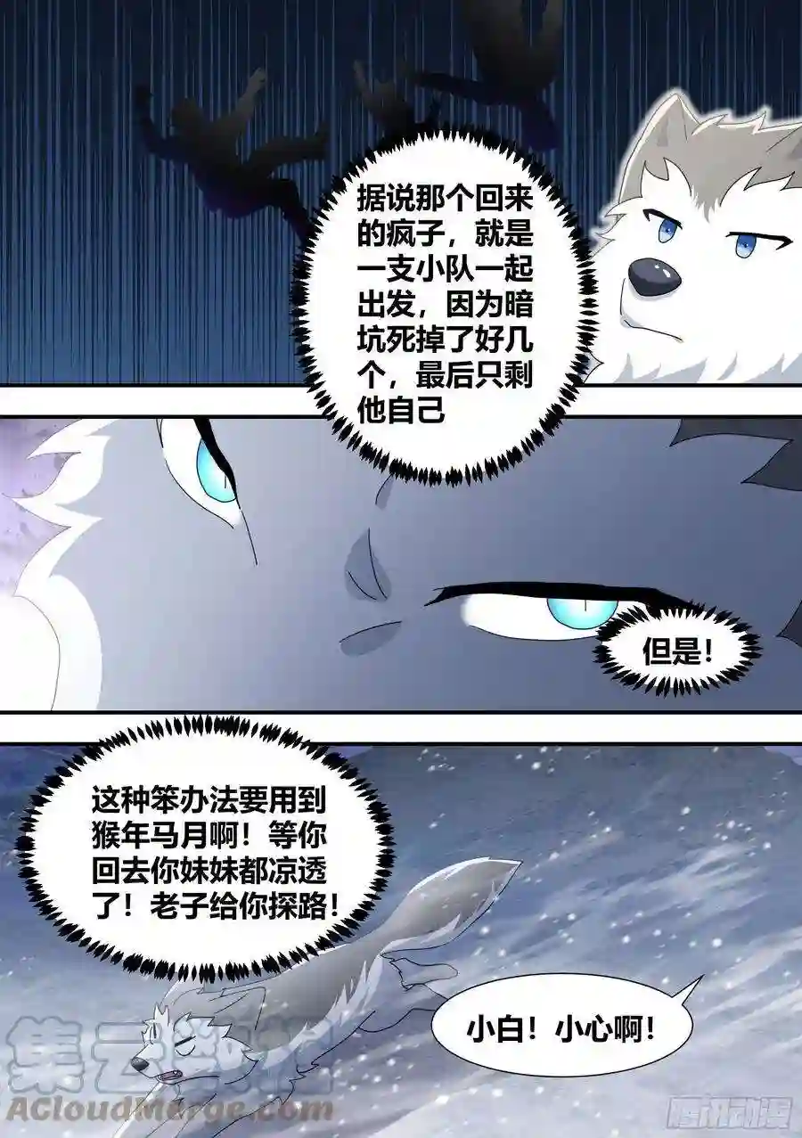 直播：女神家的哈士奇天秀275-有蛇