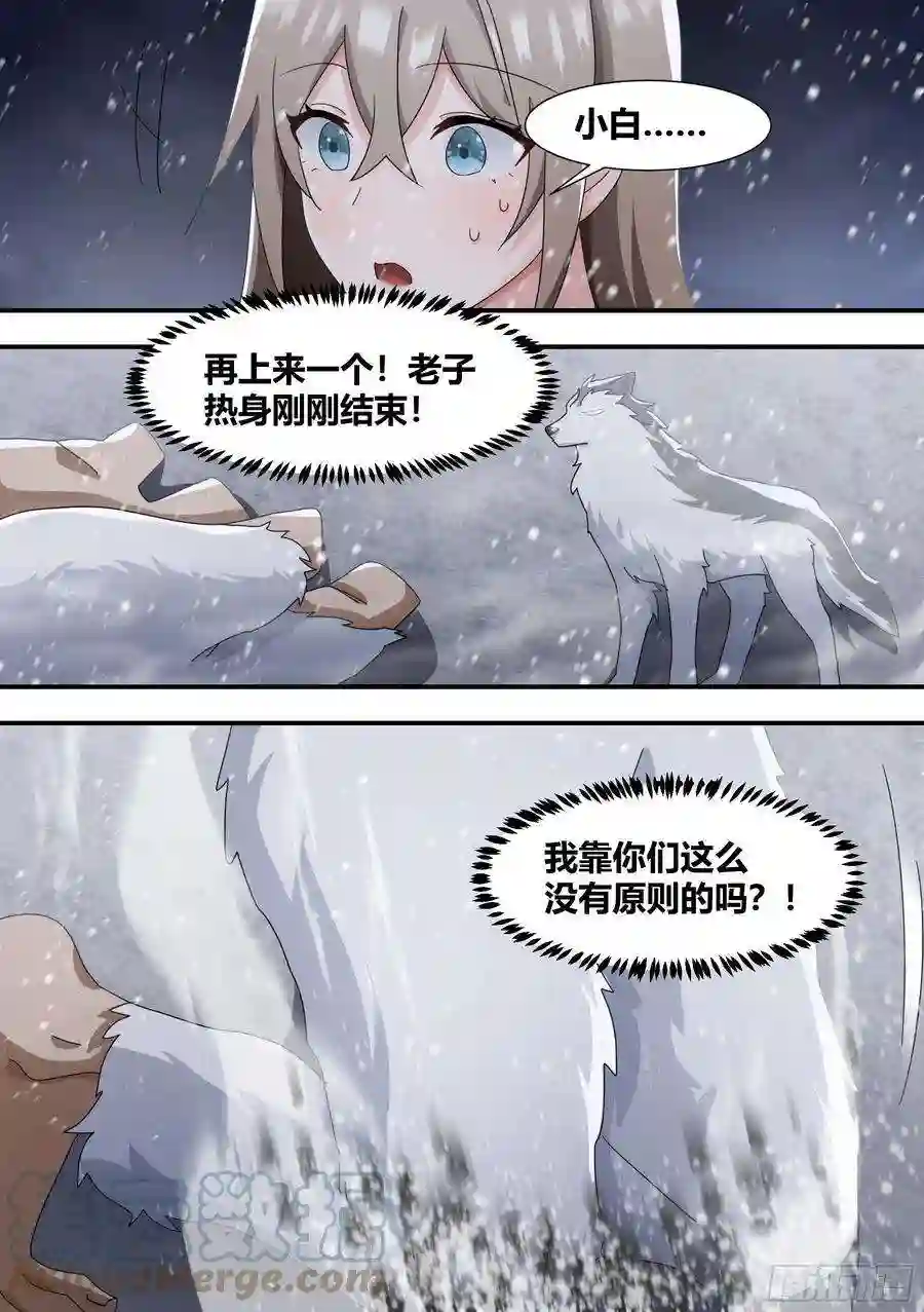 直播：女神家的哈士奇天秀277-巨蟒