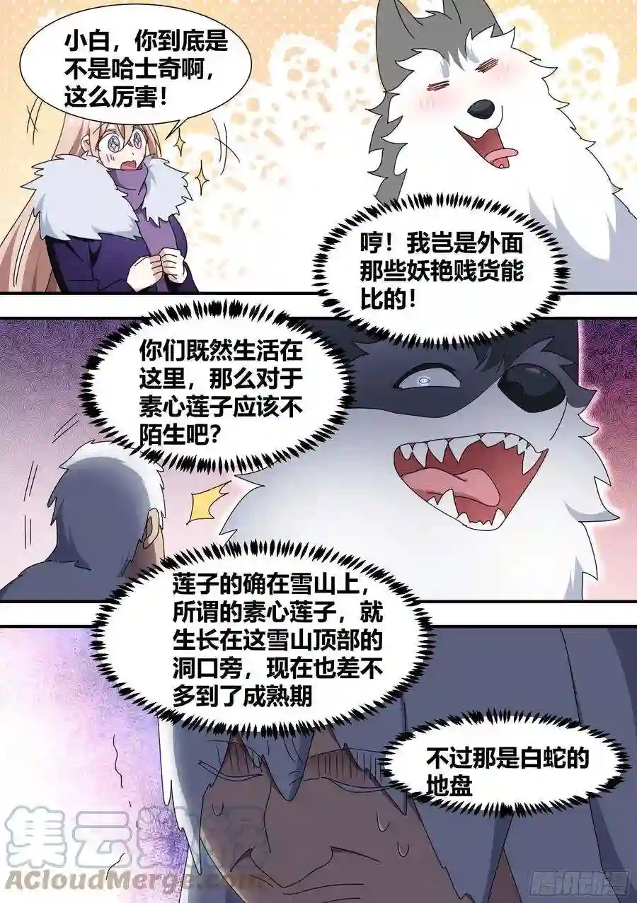 直播：女神家的哈士奇天秀277-巨蟒