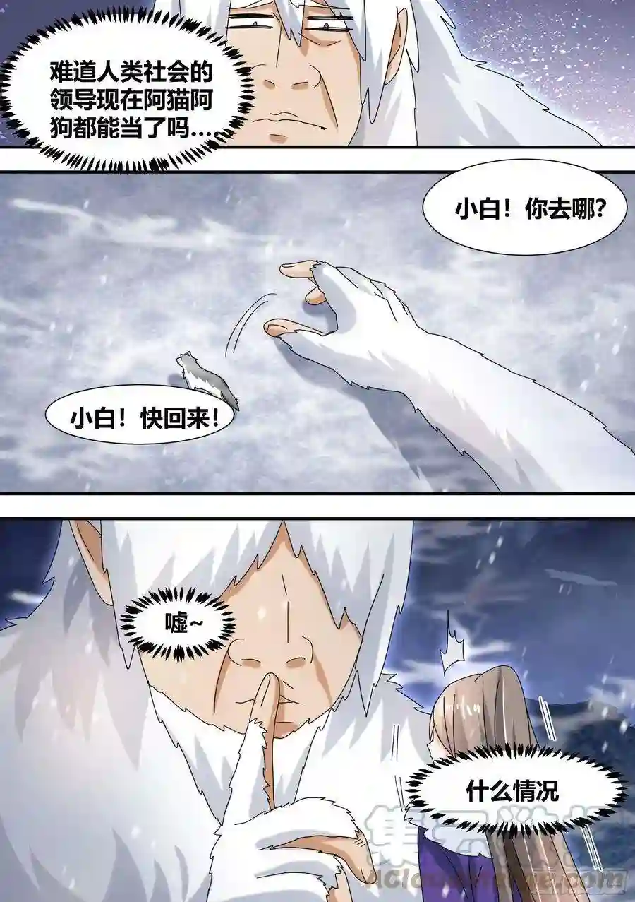直播：女神家的哈士奇天秀277-巨蟒