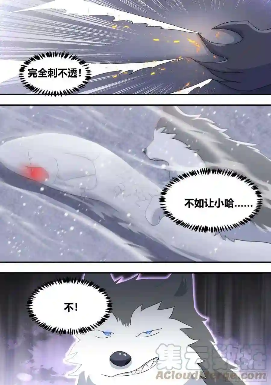 直播：女神家的哈士奇天秀278-纸的？！