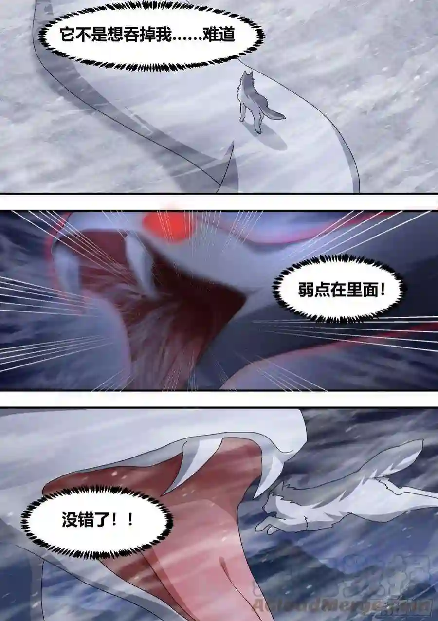 直播：女神家的哈士奇天秀278-纸的？！