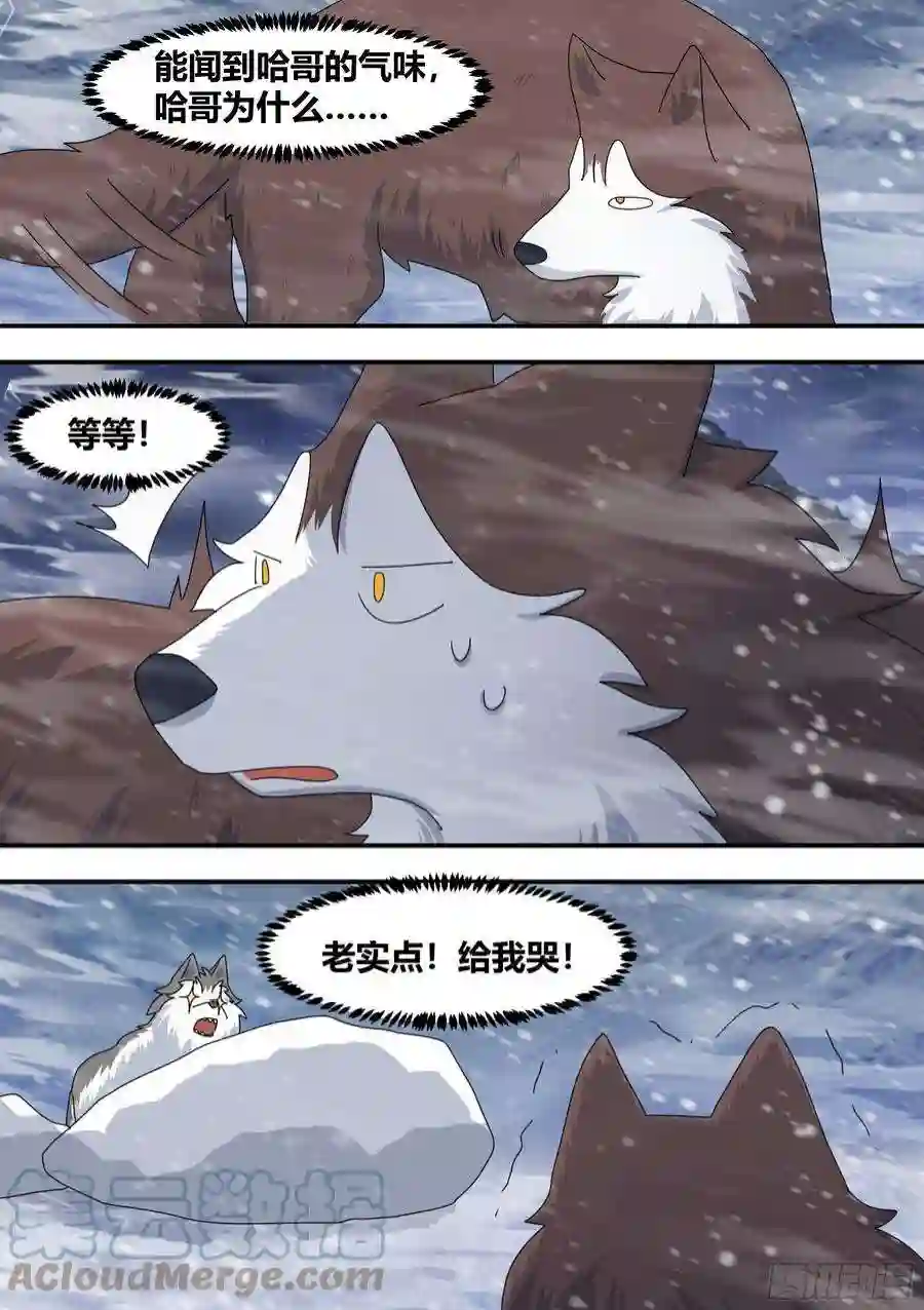 直播：女神家的哈士奇天秀278-纸的？！