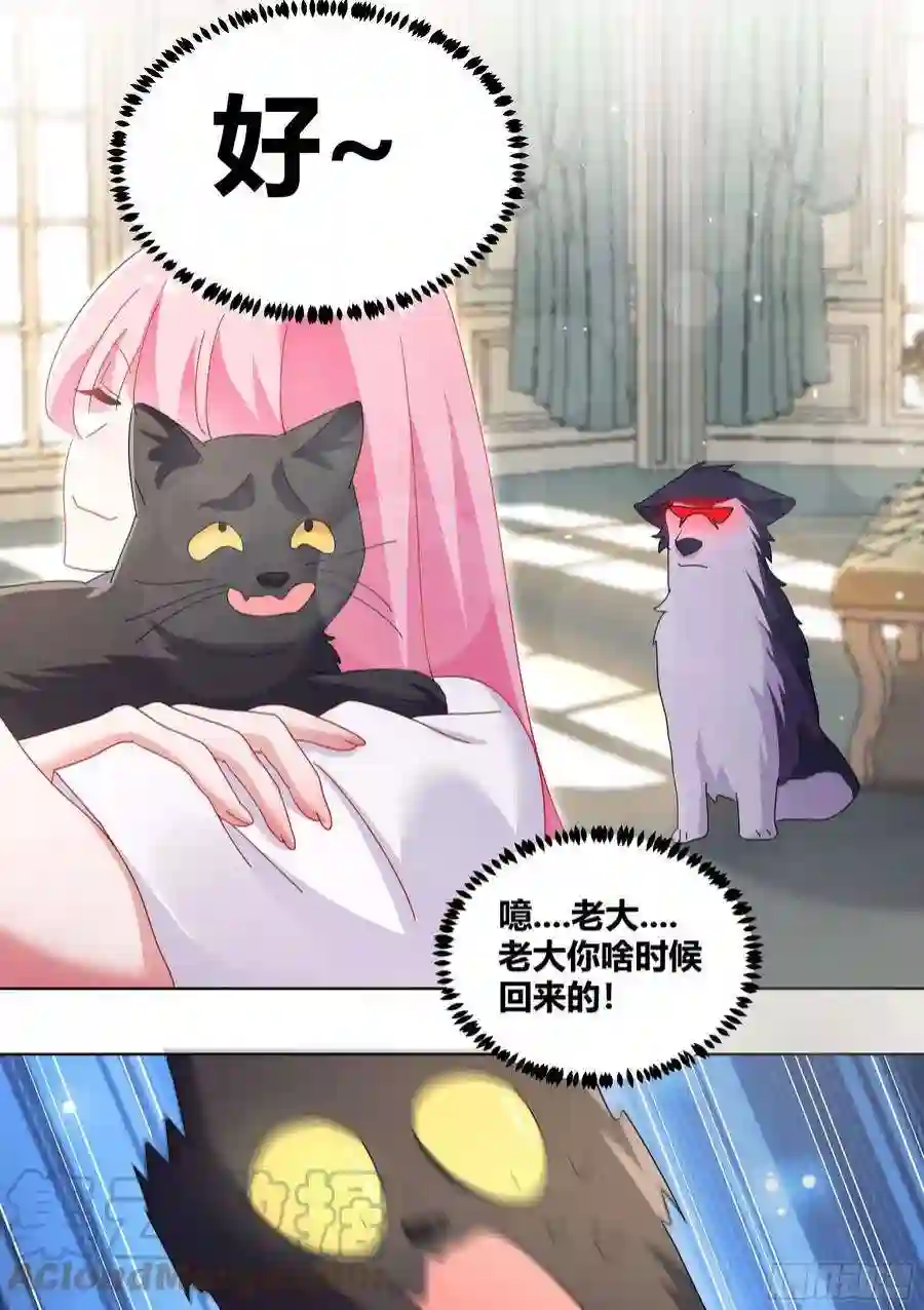 直播：女神家的哈士奇天秀280-绝育吧