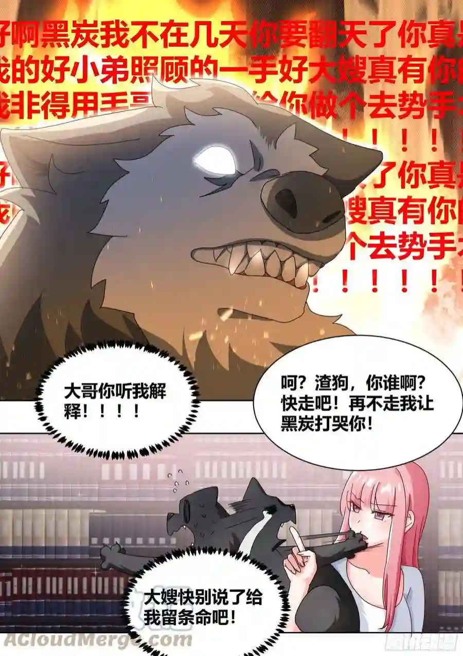 直播：女神家的哈士奇天秀280-绝育吧