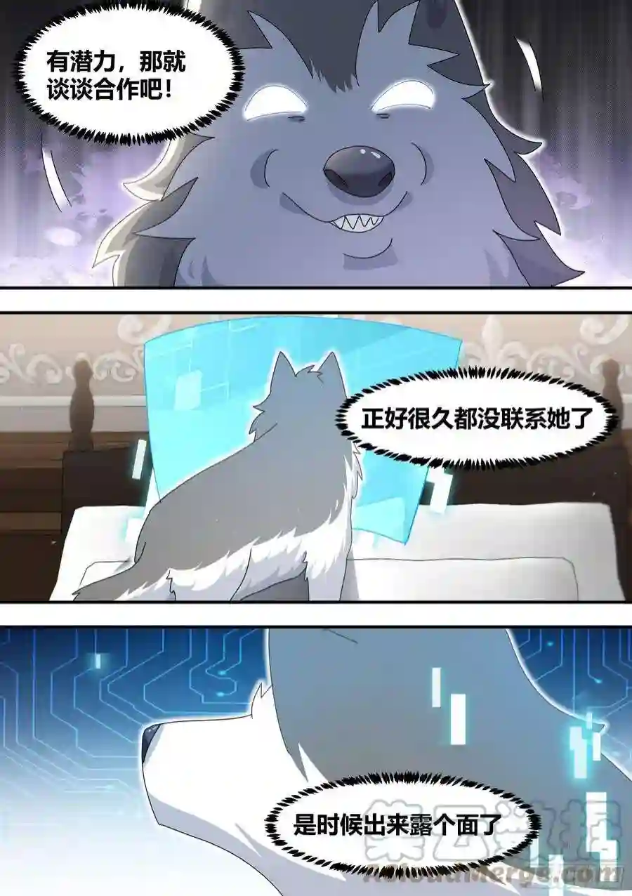 直播：女神家的哈士奇天秀281-买的流量？
