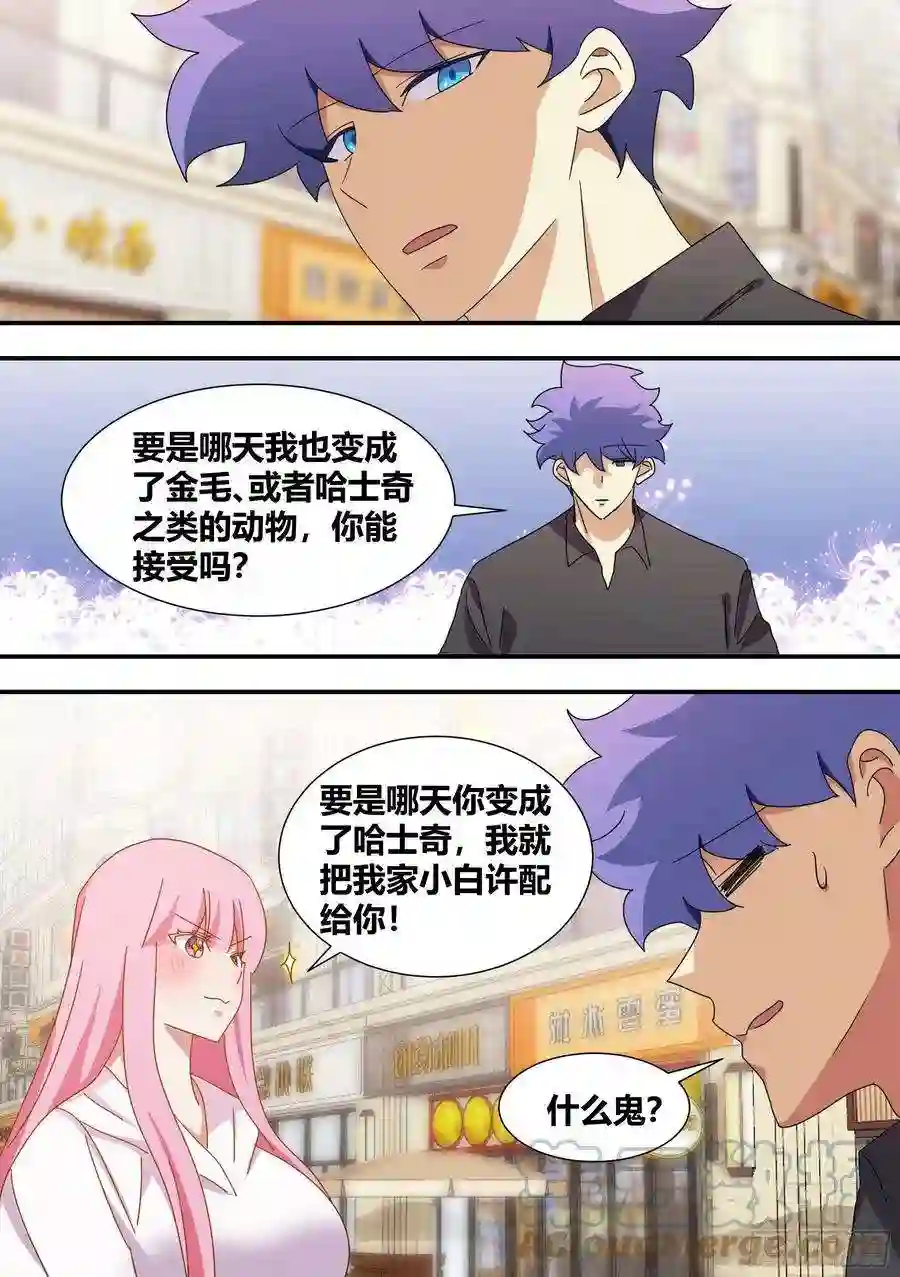 直播：女神家的哈士奇天秀286-刺客