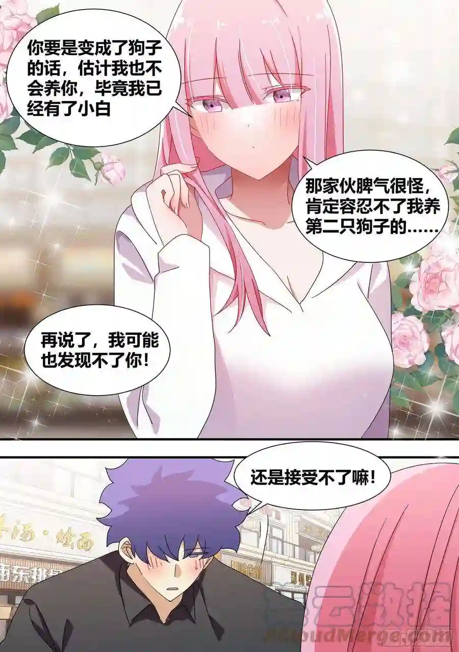 直播：女神家的哈士奇天秀286-刺客