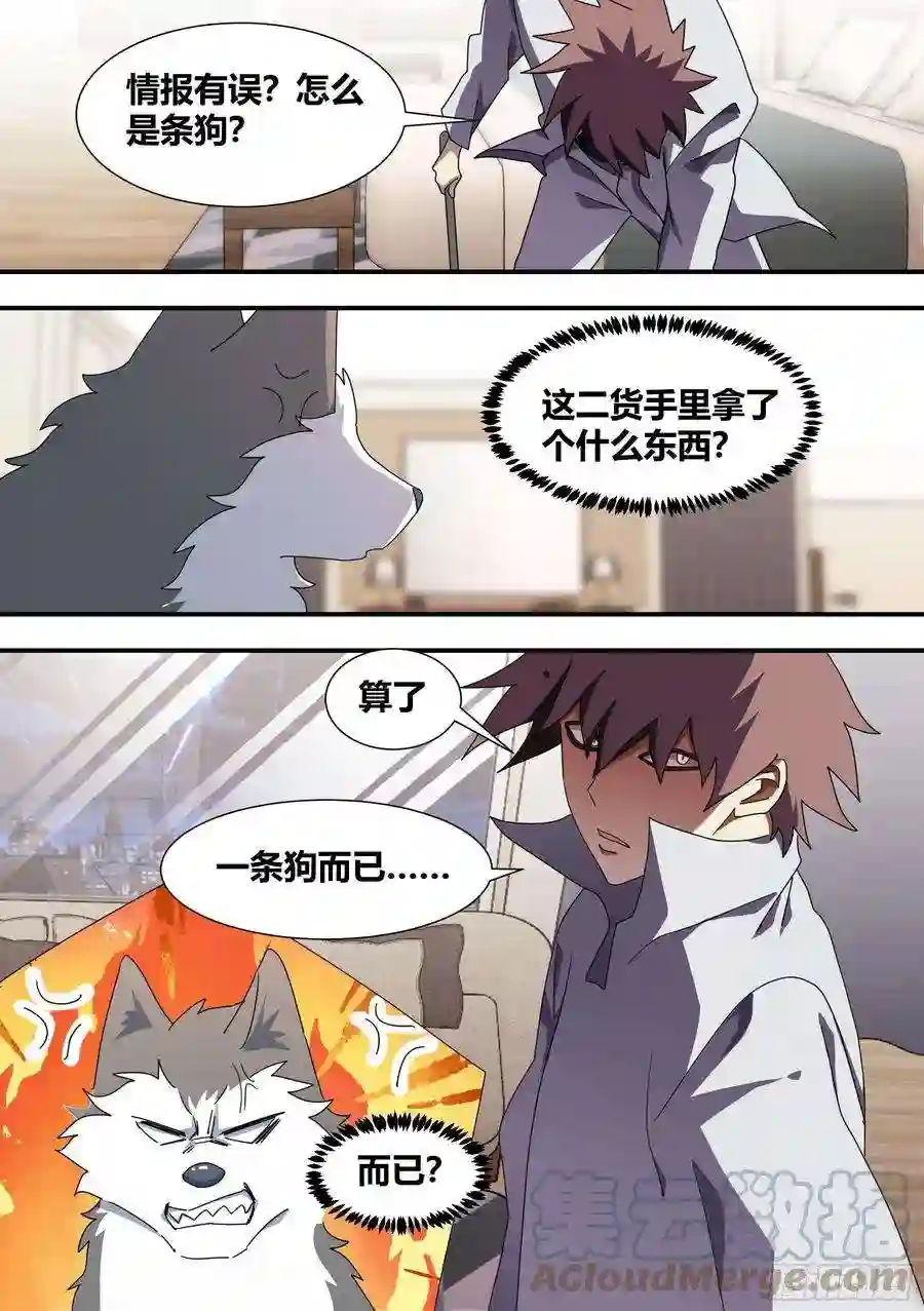 直播：女神家的哈士奇天秀286-刺客