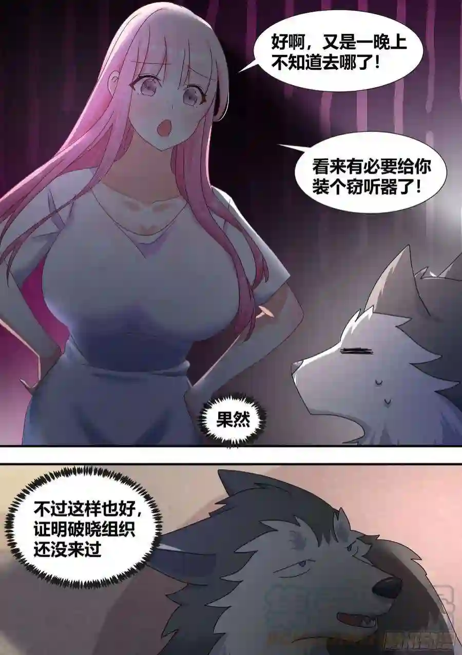 直播：女神家的哈士奇天秀288-婉清的背刺