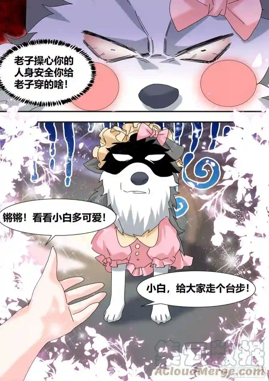 直播：女神家的哈士奇天秀288-婉清的背刺