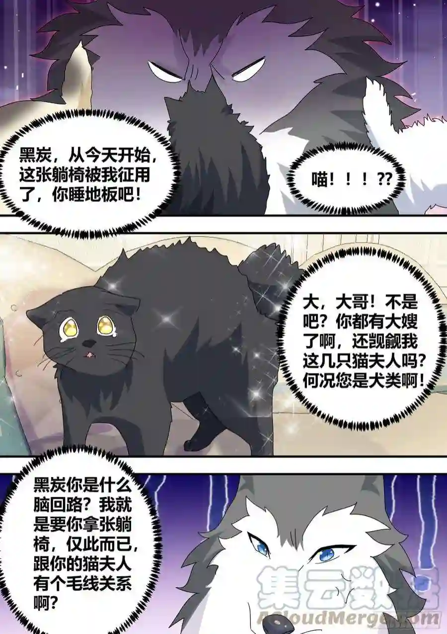 直播：女神家的哈士奇天秀绿光
