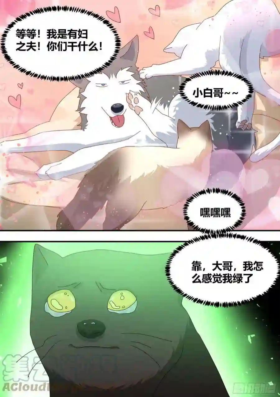 直播：女神家的哈士奇天秀绿光