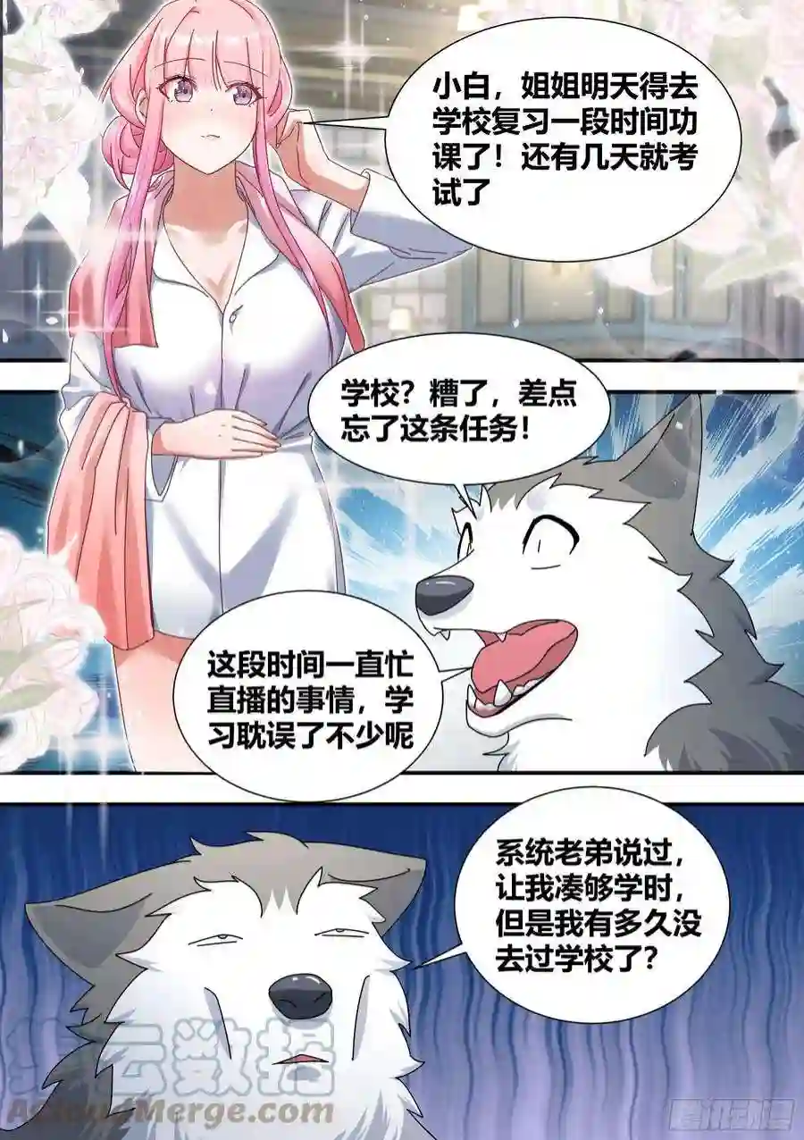 直播：女神家的哈士奇天秀绿光