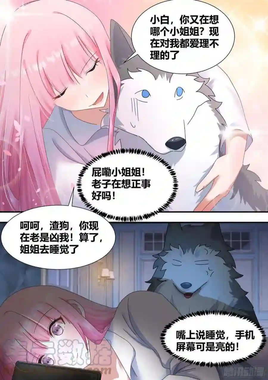 直播：女神家的哈士奇天秀绿光