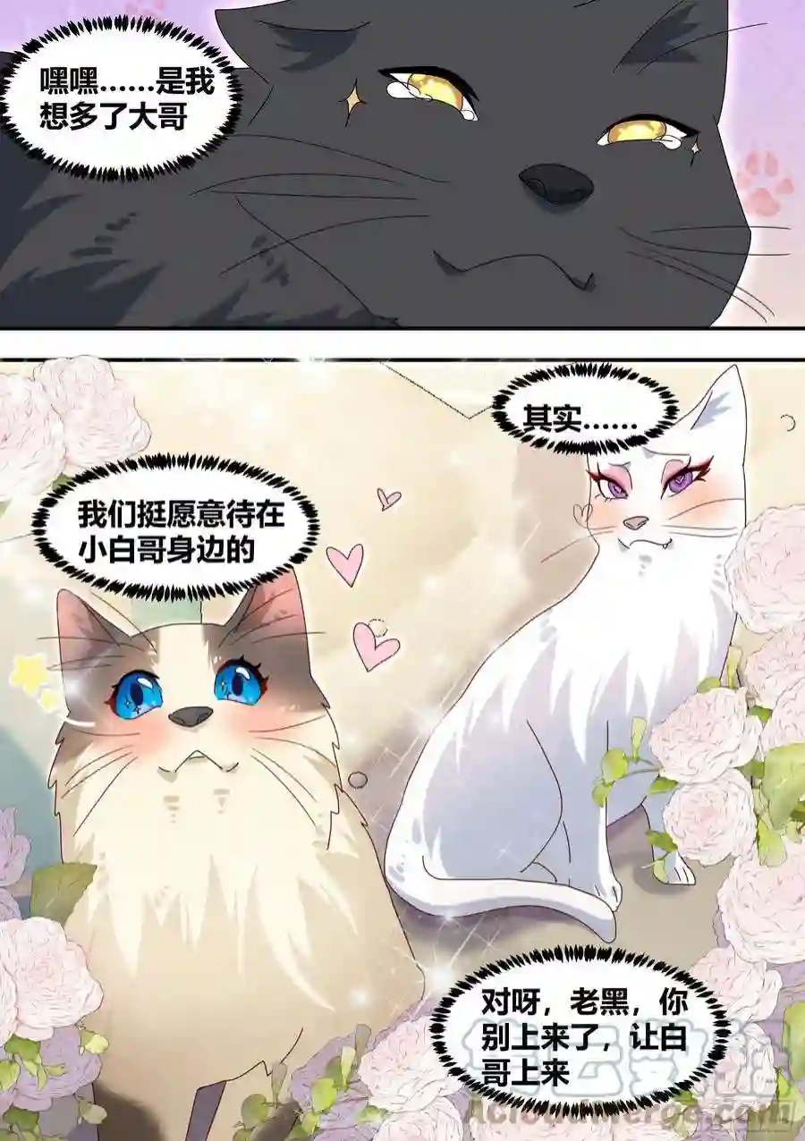 直播：女神家的哈士奇天秀289-绿光