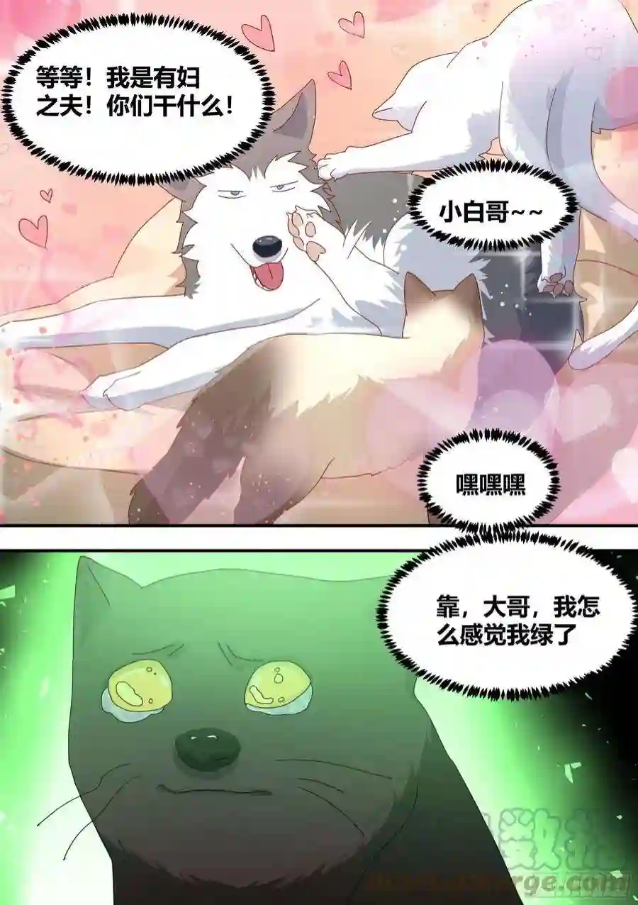 直播：女神家的哈士奇天秀289-绿光
