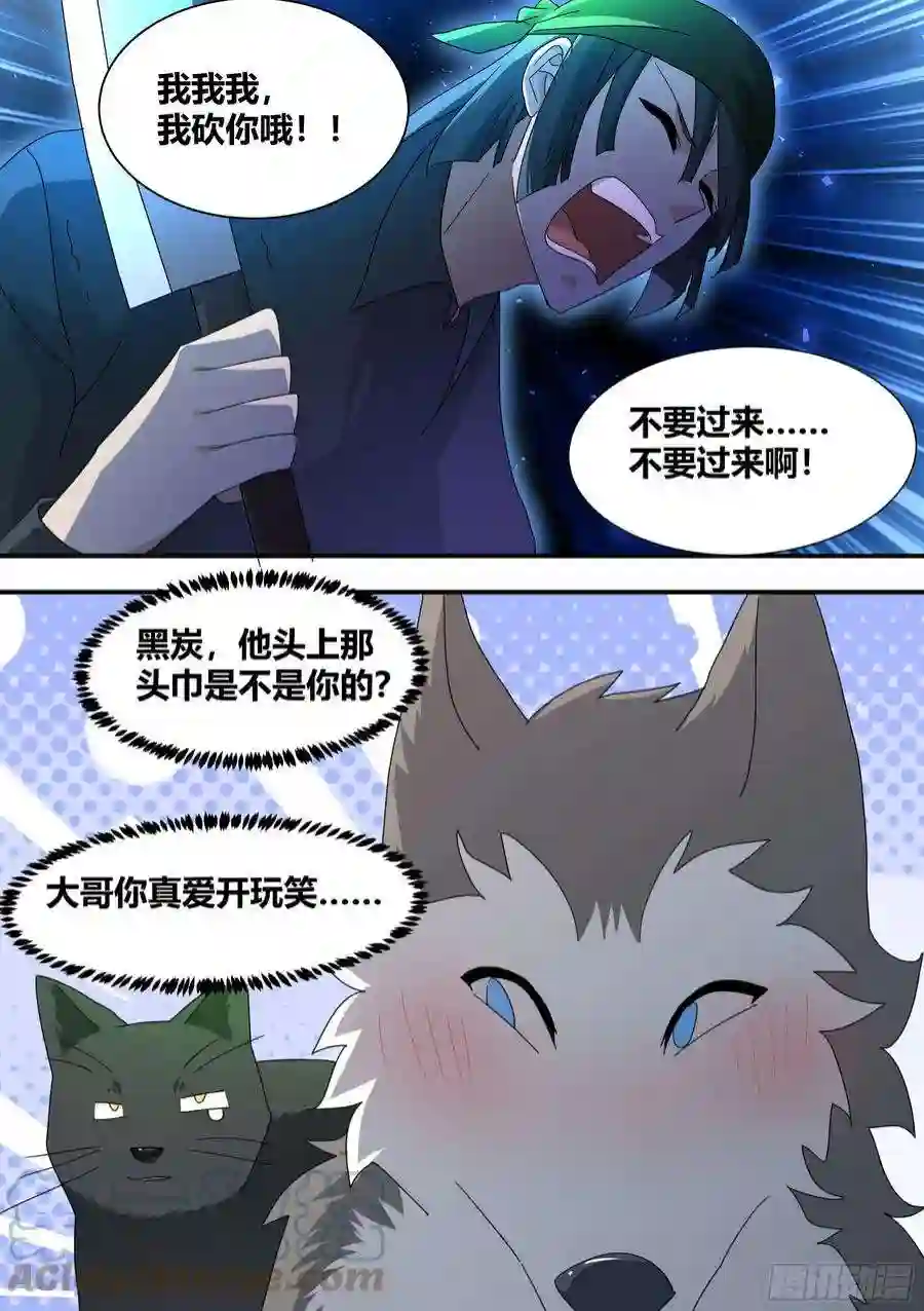 直播：女神家的哈士奇天秀293-职业刺客