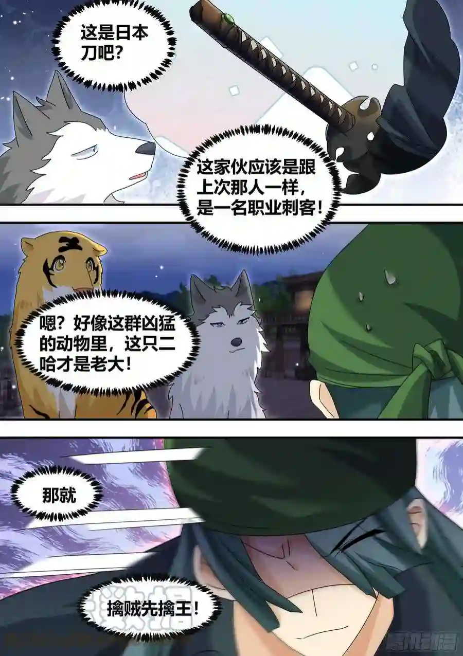 直播：女神家的哈士奇天秀293-职业刺客