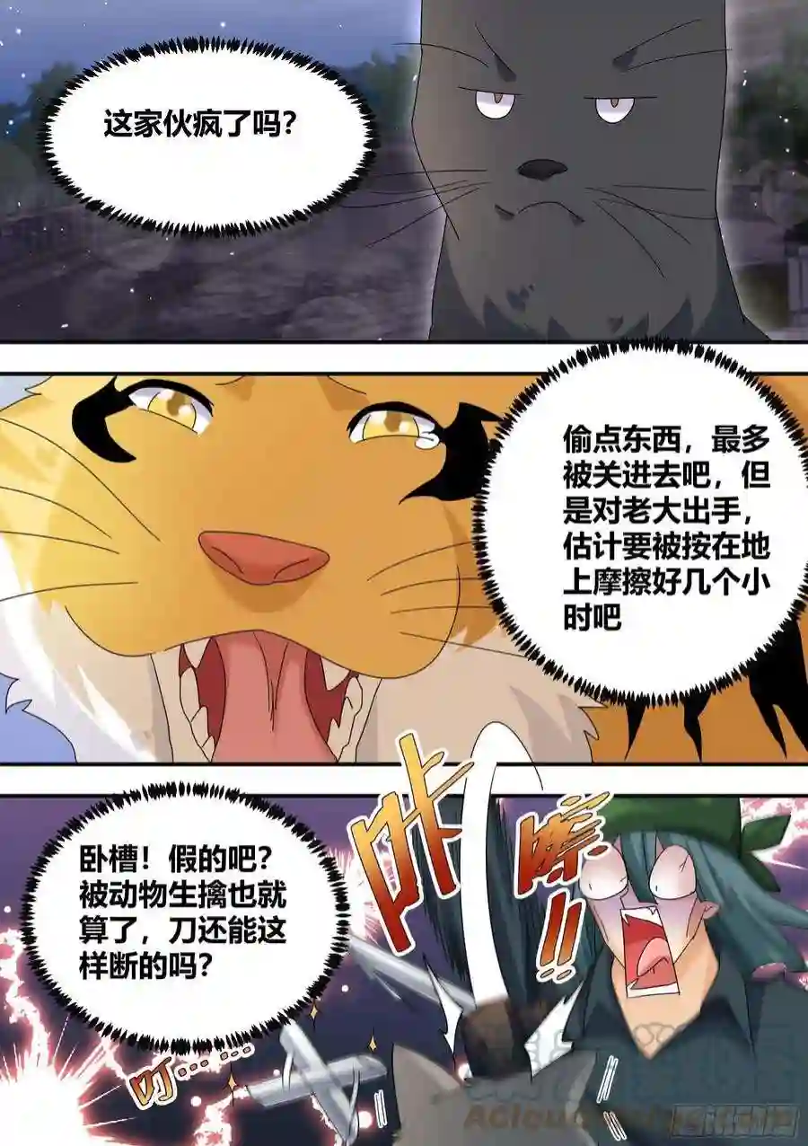 直播：女神家的哈士奇天秀293-职业刺客