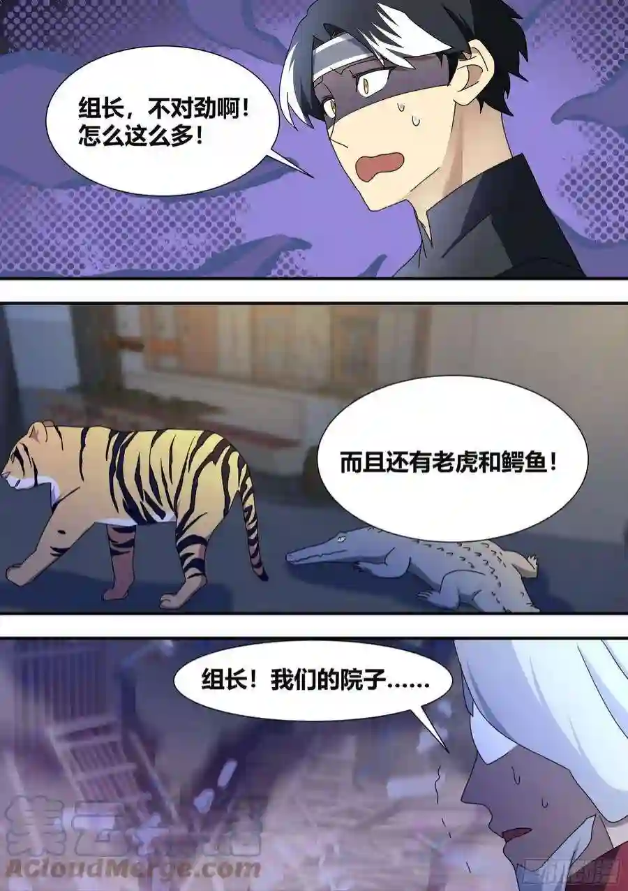 直播：女神家的哈士奇天秀王下拆五海