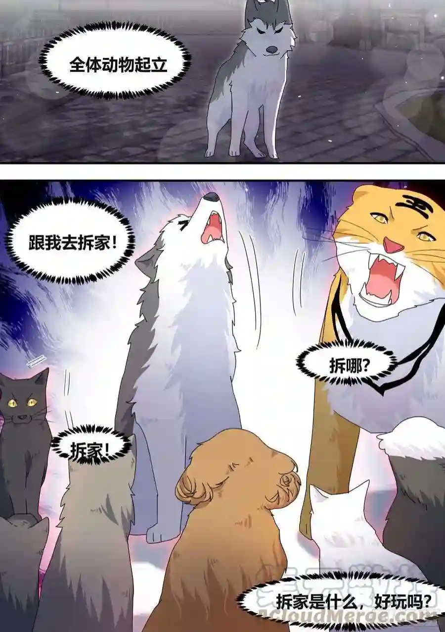 直播：女神家的哈士奇天秀王下拆五海