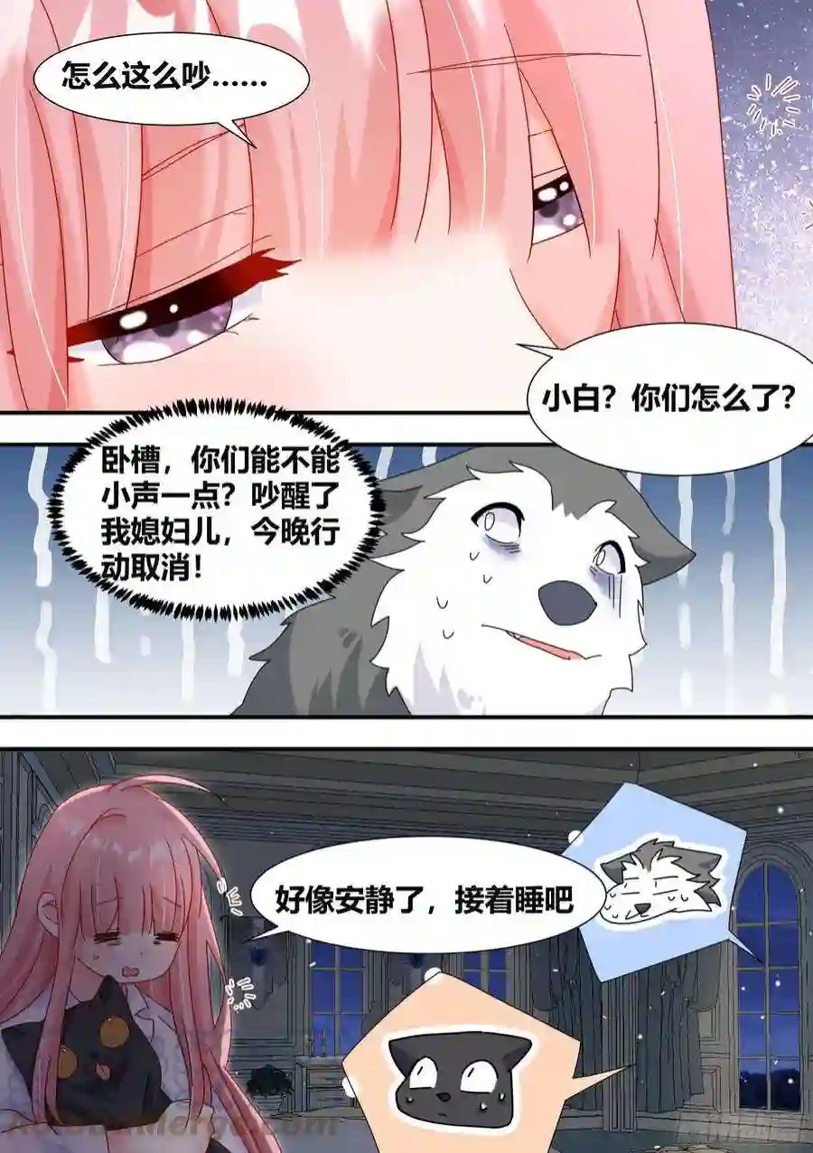 直播：女神家的哈士奇天秀王下拆五海