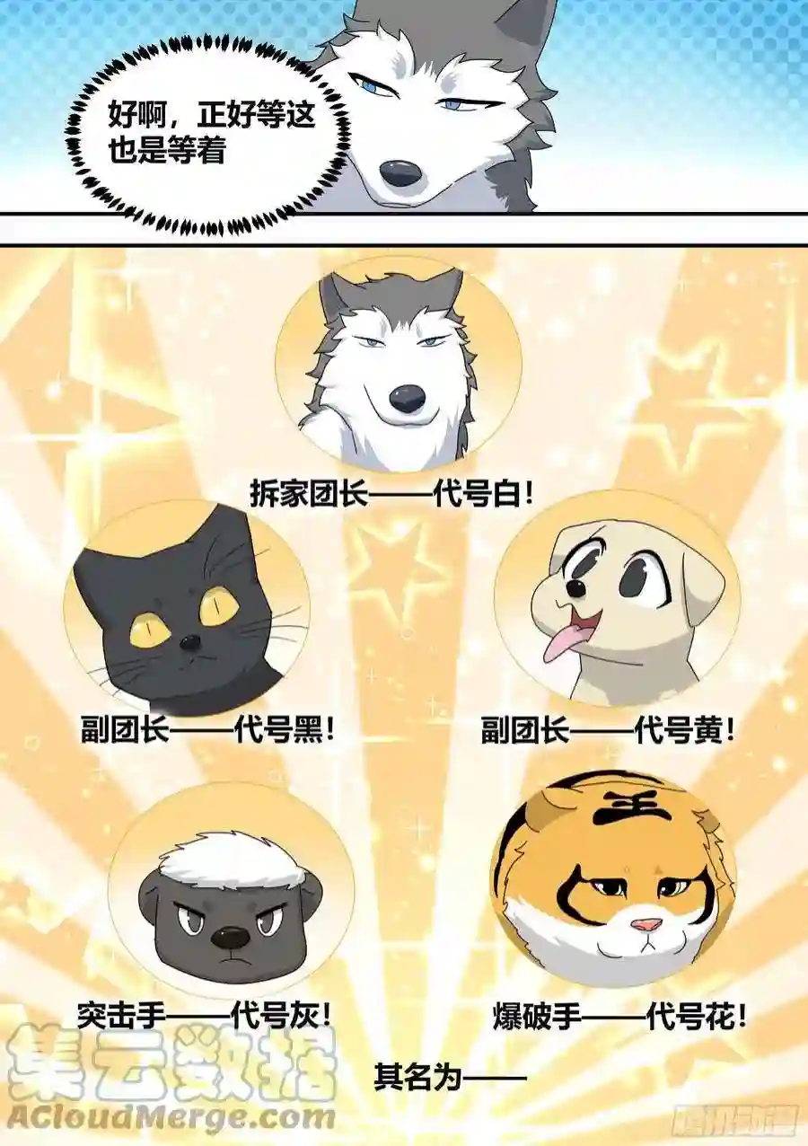 直播：女神家的哈士奇天秀王下拆五海