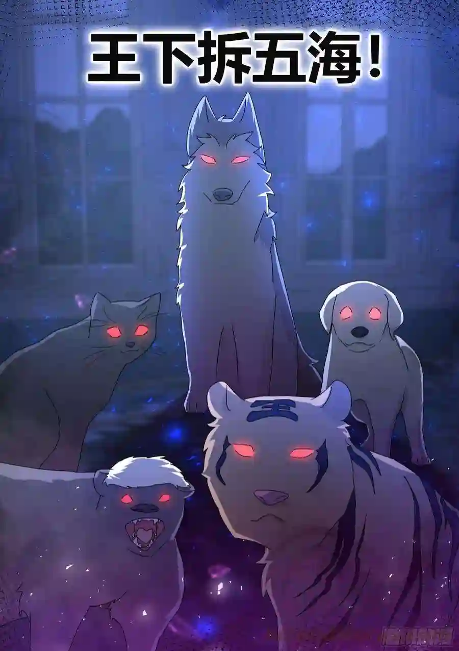 直播：女神家的哈士奇天秀王下拆五海