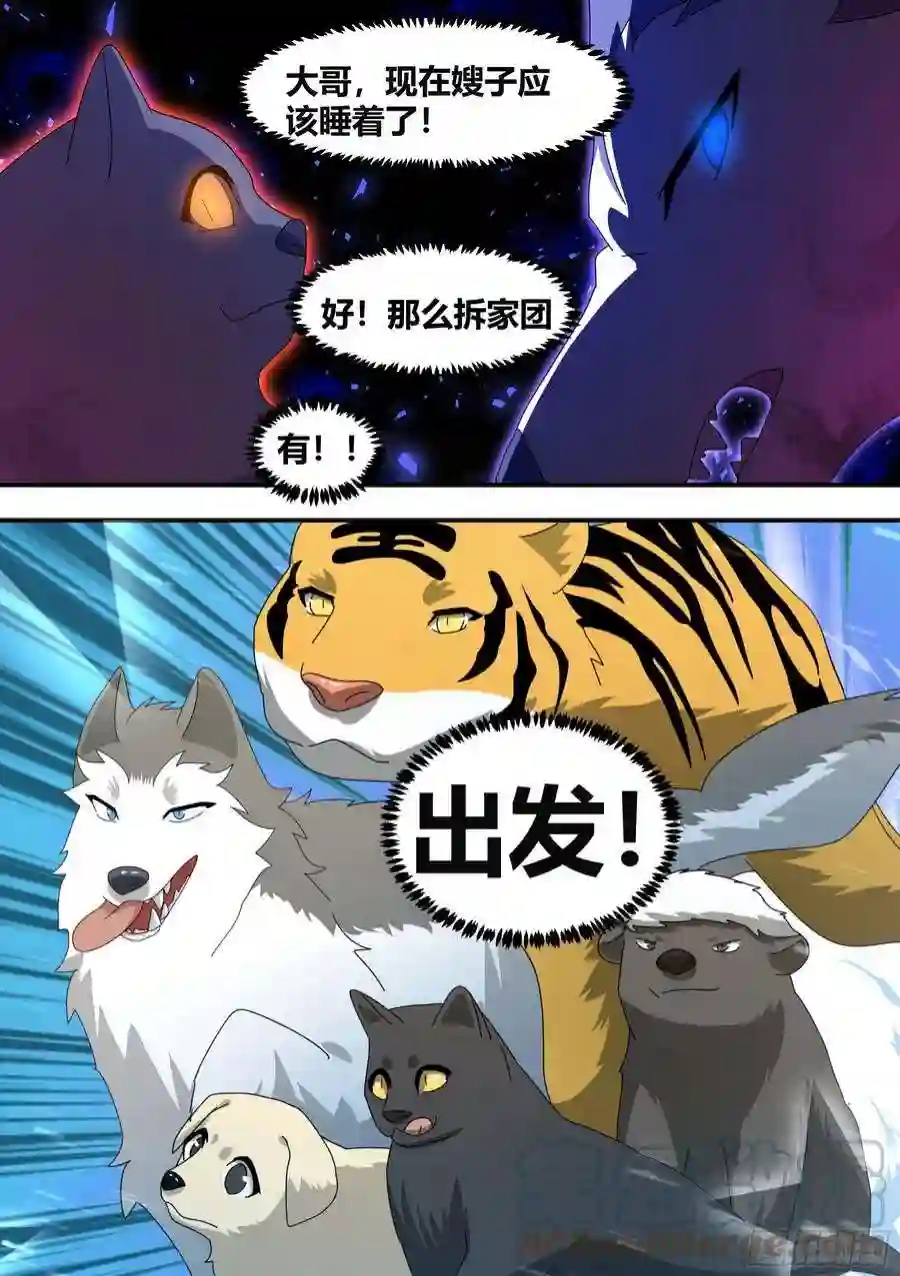 直播：女神家的哈士奇天秀王下拆五海