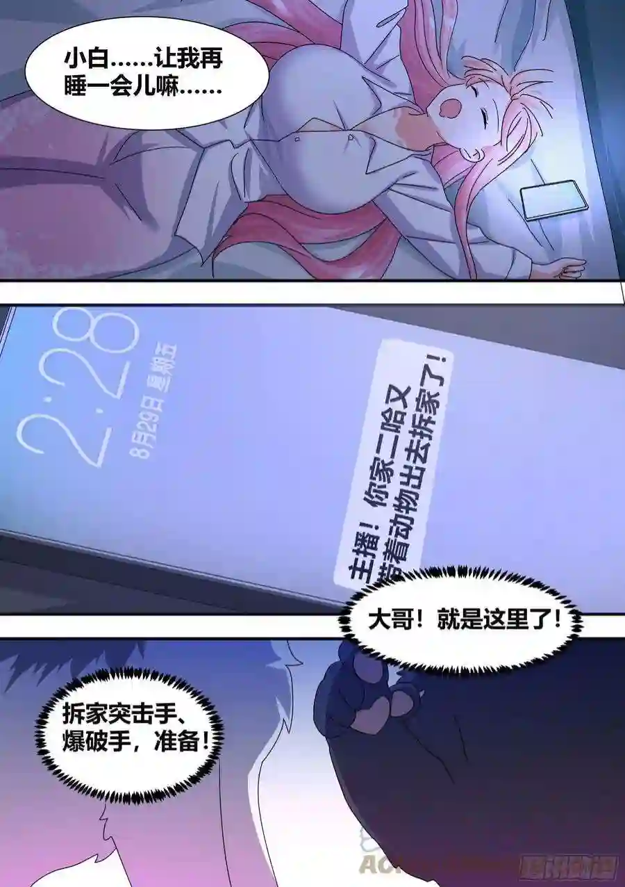 直播：女神家的哈士奇天秀王下拆五海