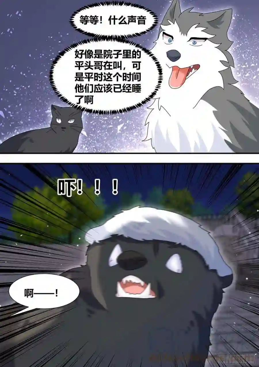 直播：女神家的哈士奇天秀290-职业刺客