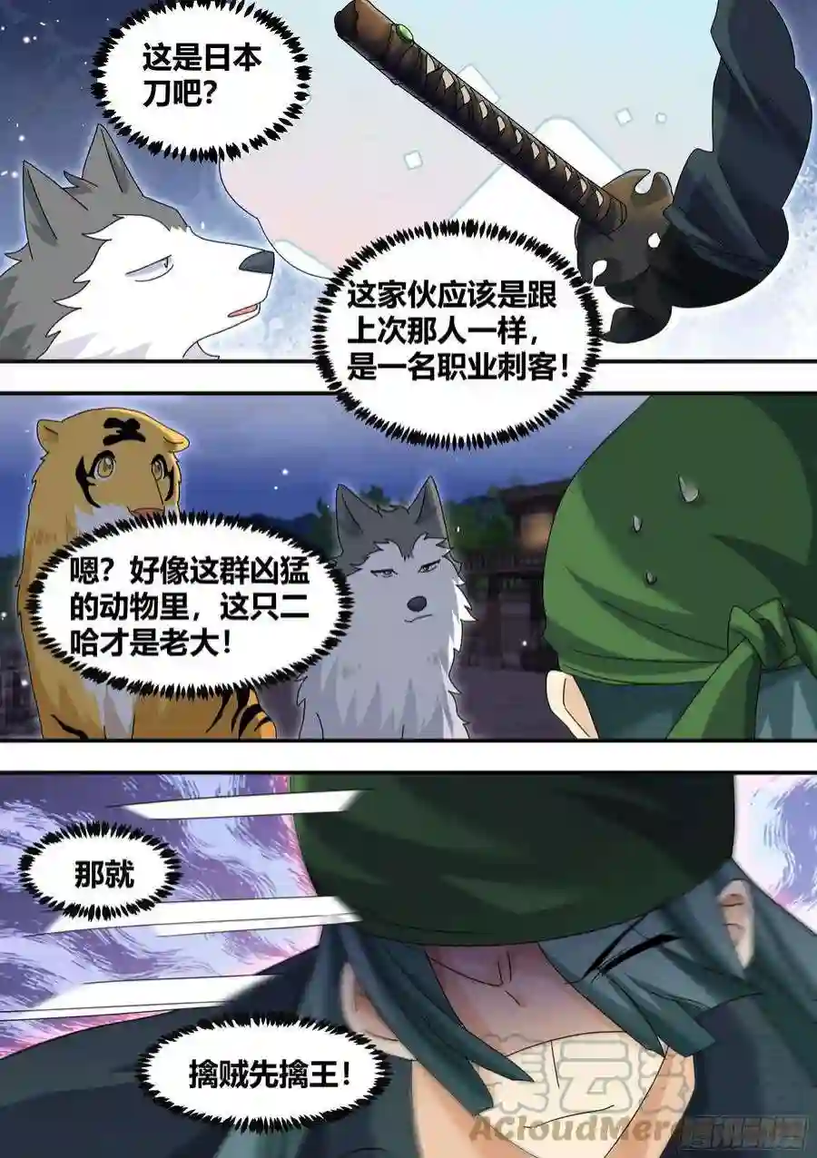直播：女神家的哈士奇天秀290-职业刺客
