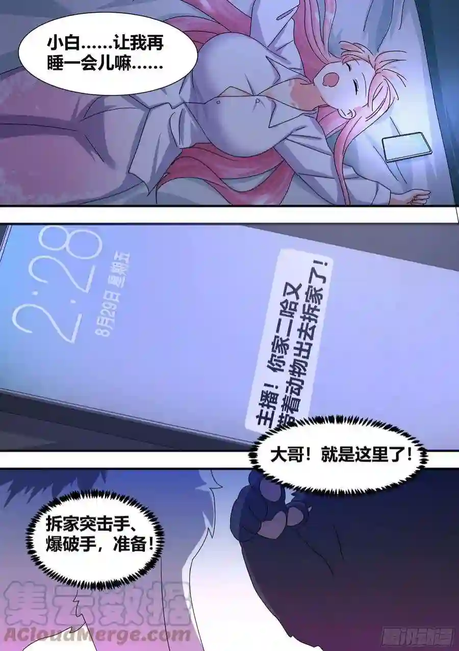 直播：女神家的哈士奇天秀291-王下拆五海