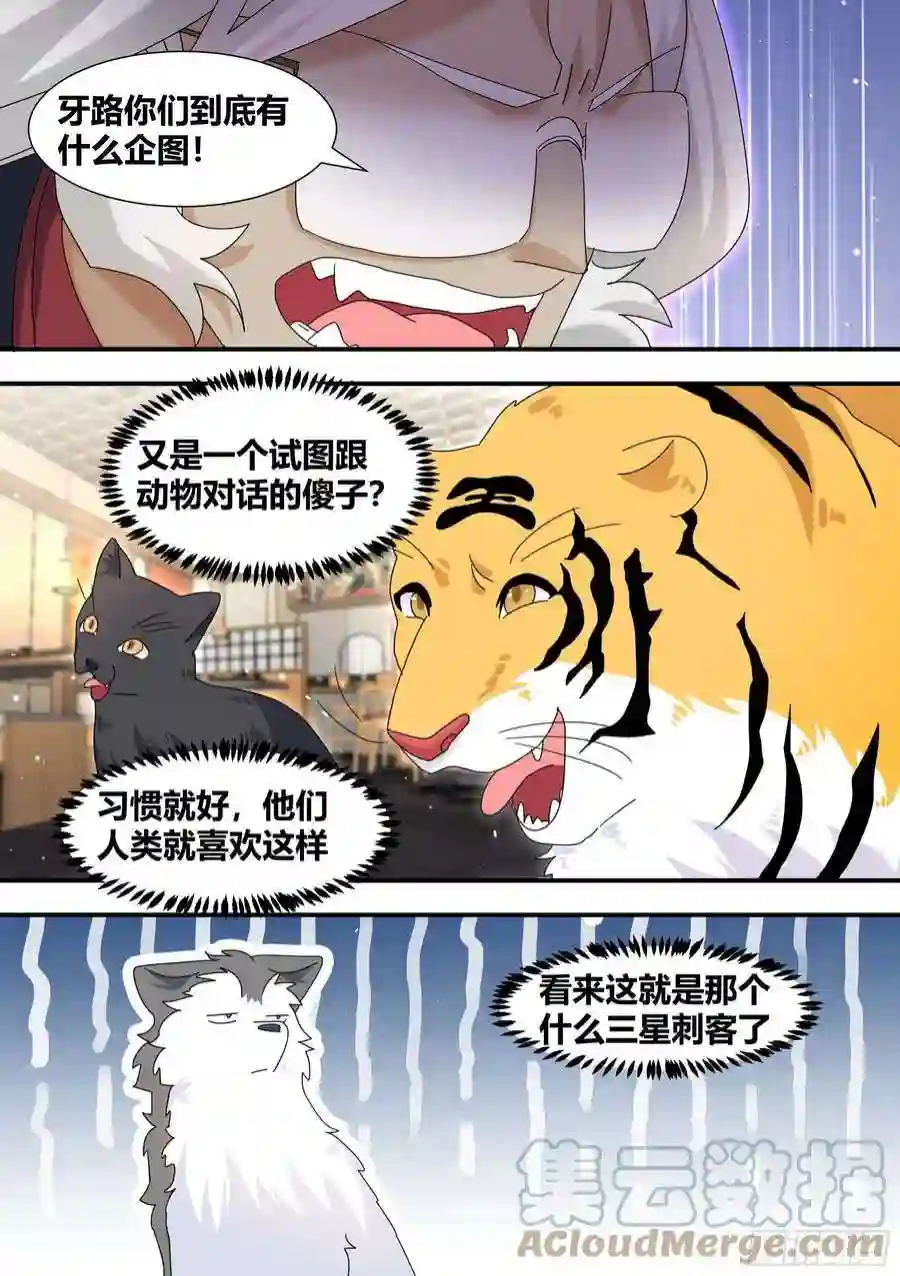 直播：女神家的哈士奇天秀292-证据