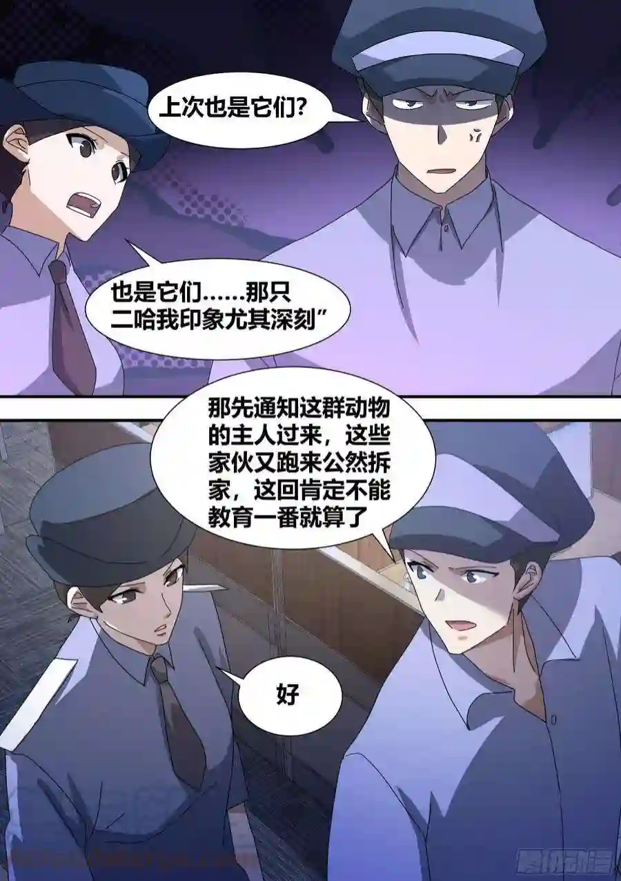 直播：女神家的哈士奇天秀292-证据