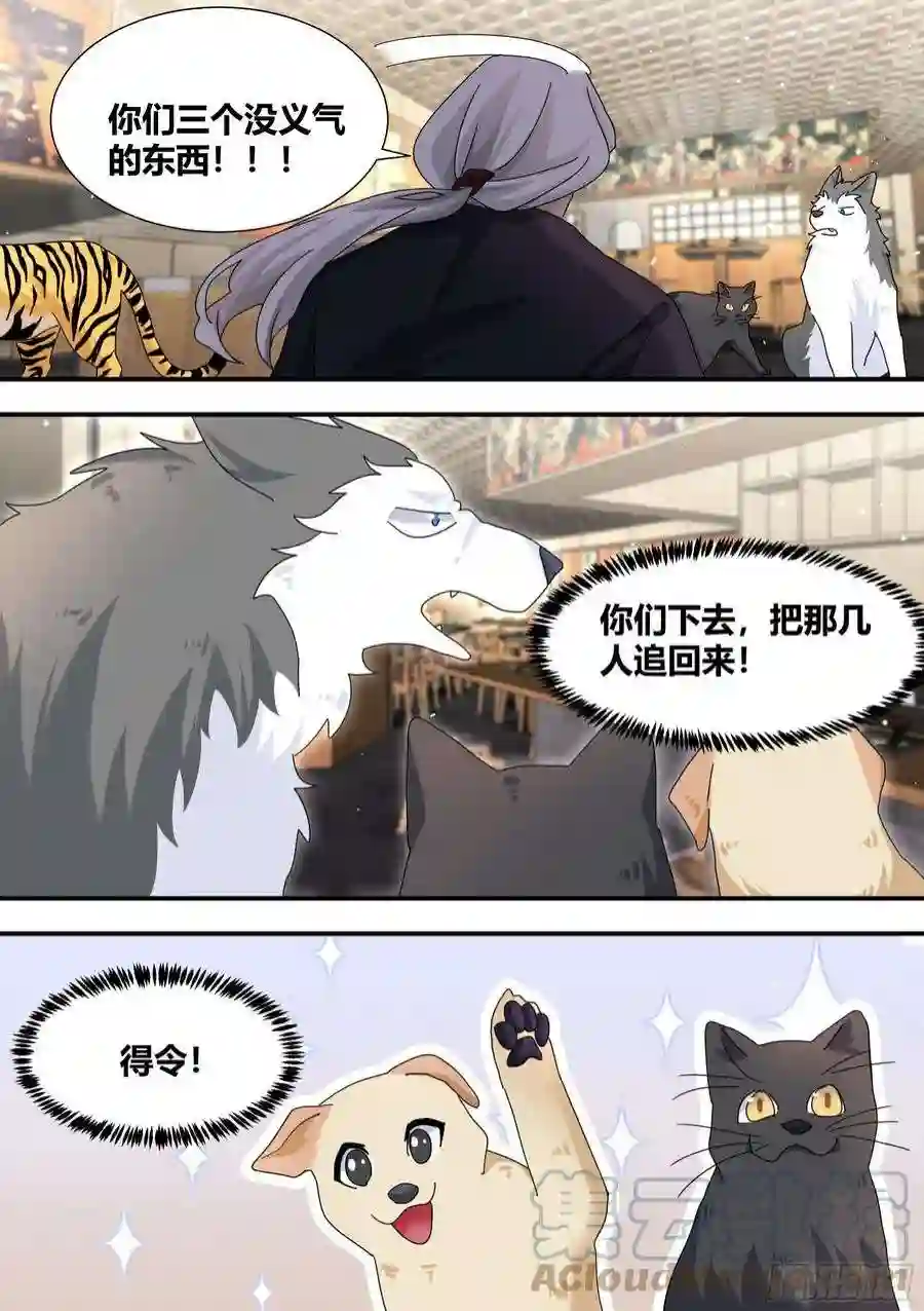 直播：女神家的哈士奇天秀292-证据