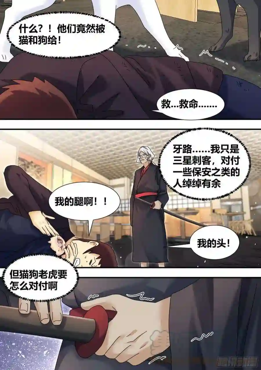 直播：女神家的哈士奇天秀292-证据