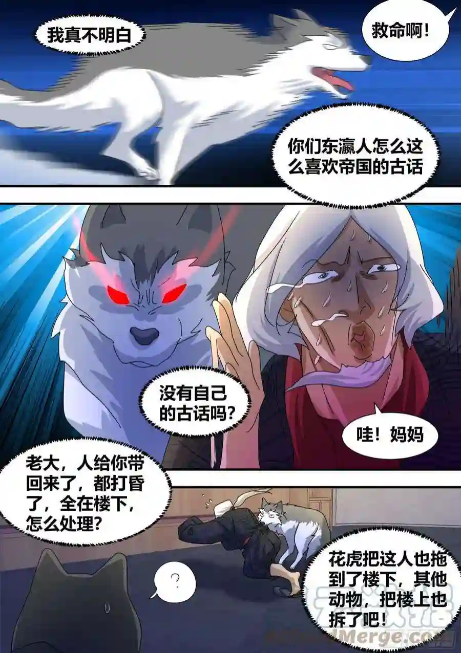 直播：女神家的哈士奇天秀292-证据