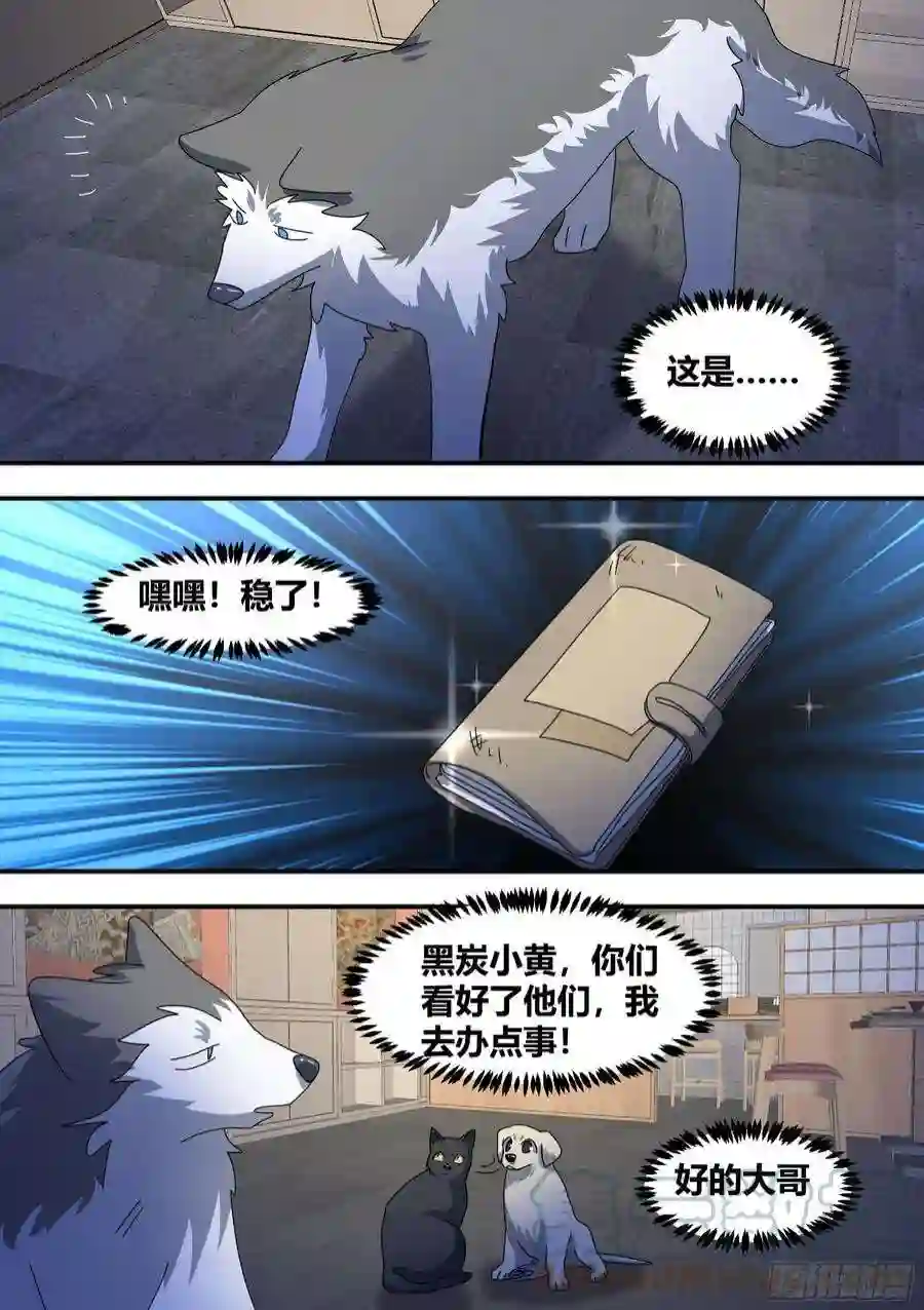 直播：女神家的哈士奇天秀292-证据