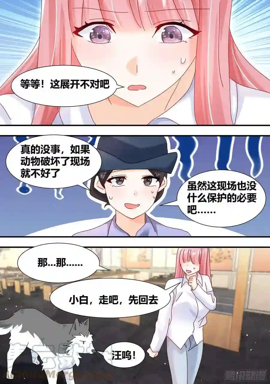 直播：女神家的哈士奇天秀立功