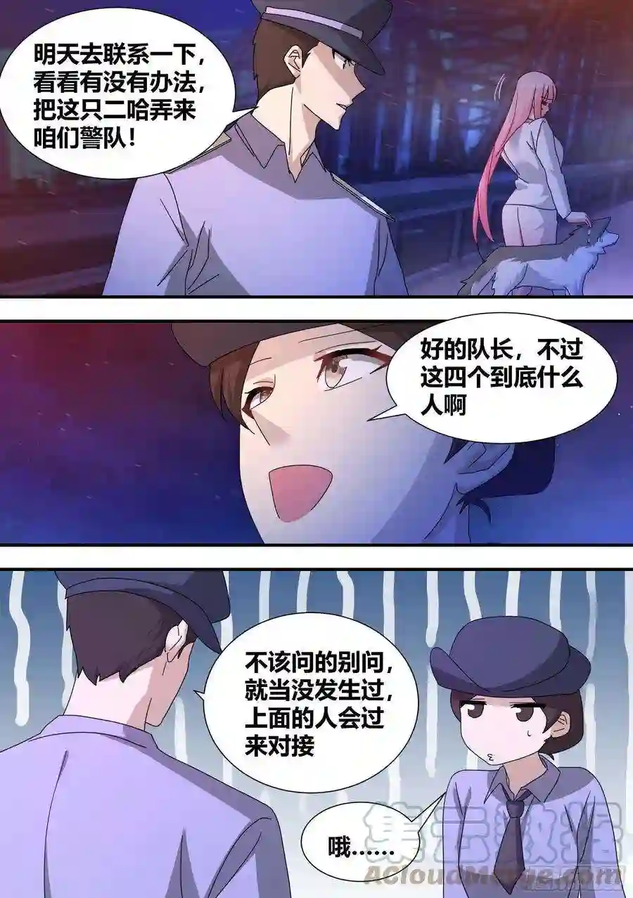 直播：女神家的哈士奇天秀立功