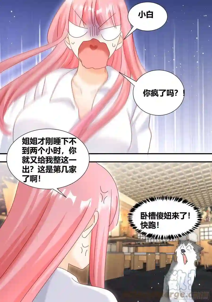 直播：女神家的哈士奇天秀立功
