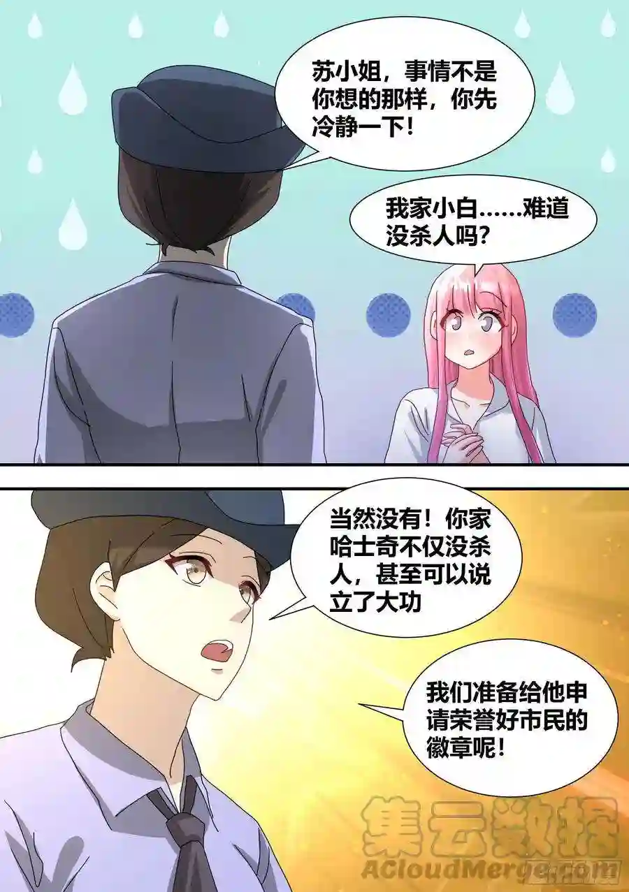 直播：女神家的哈士奇天秀立功