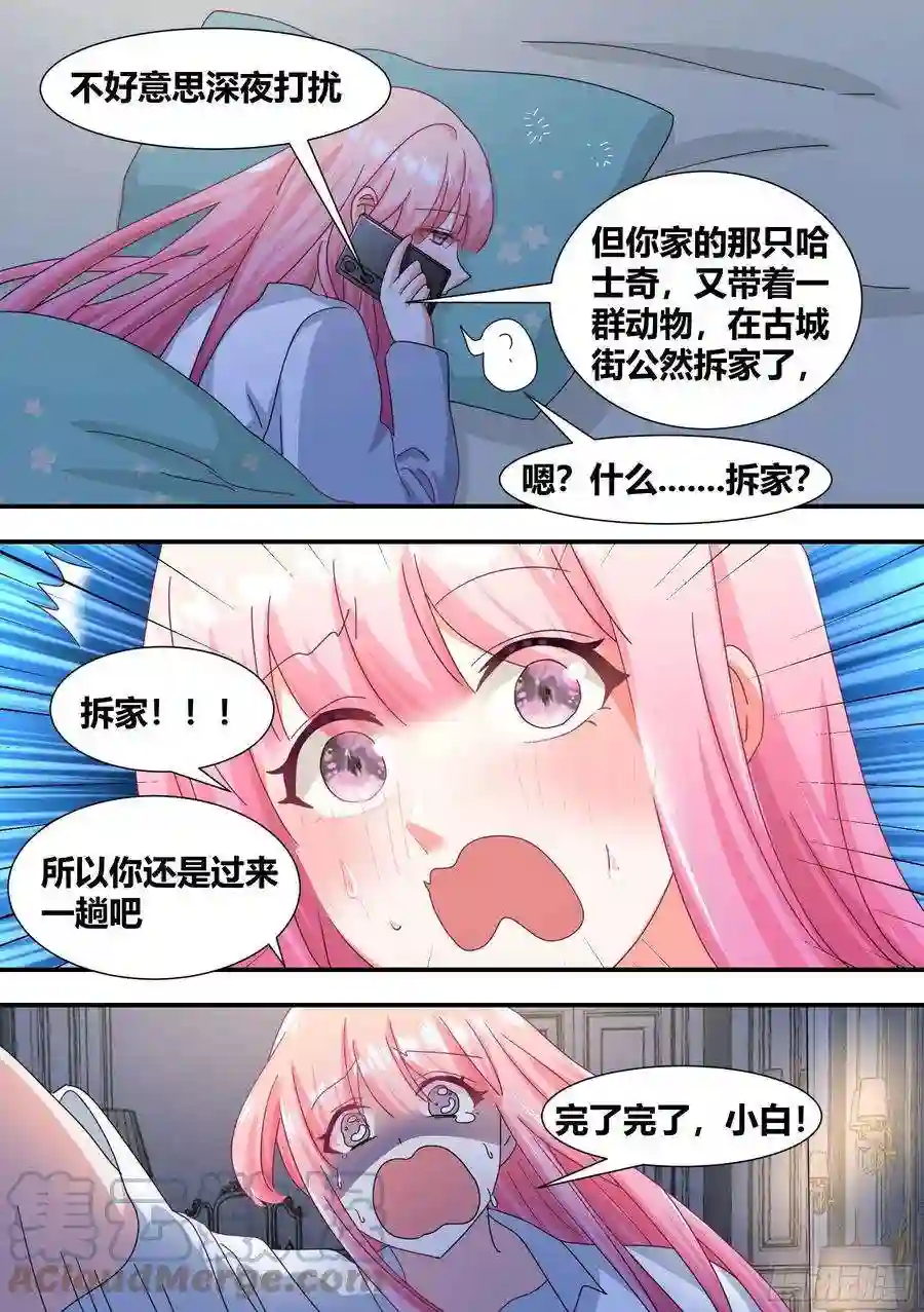 直播：女神家的哈士奇天秀293-立功