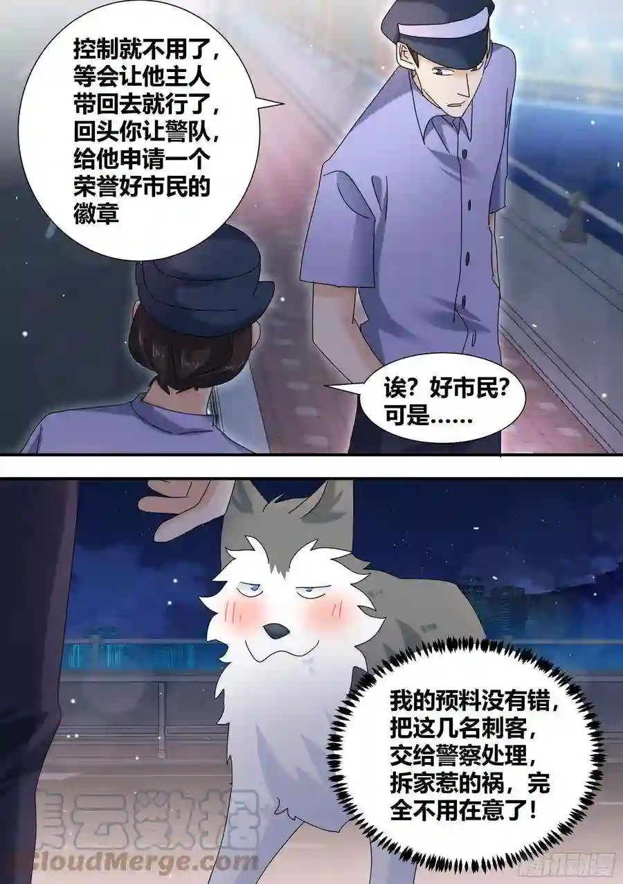 直播：女神家的哈士奇天秀293-立功