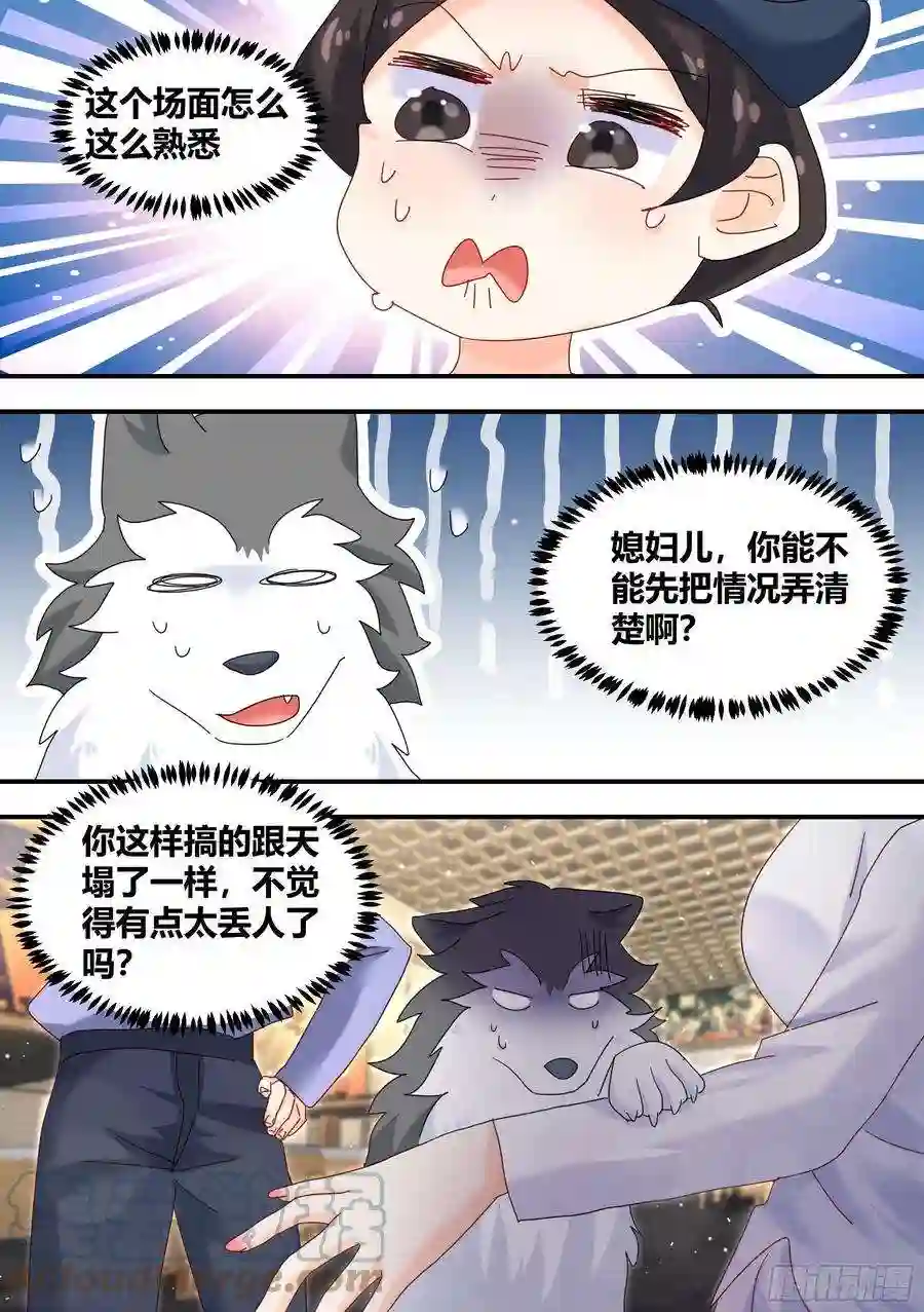 直播：女神家的哈士奇天秀293-立功